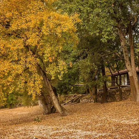 Golden Chl'aba